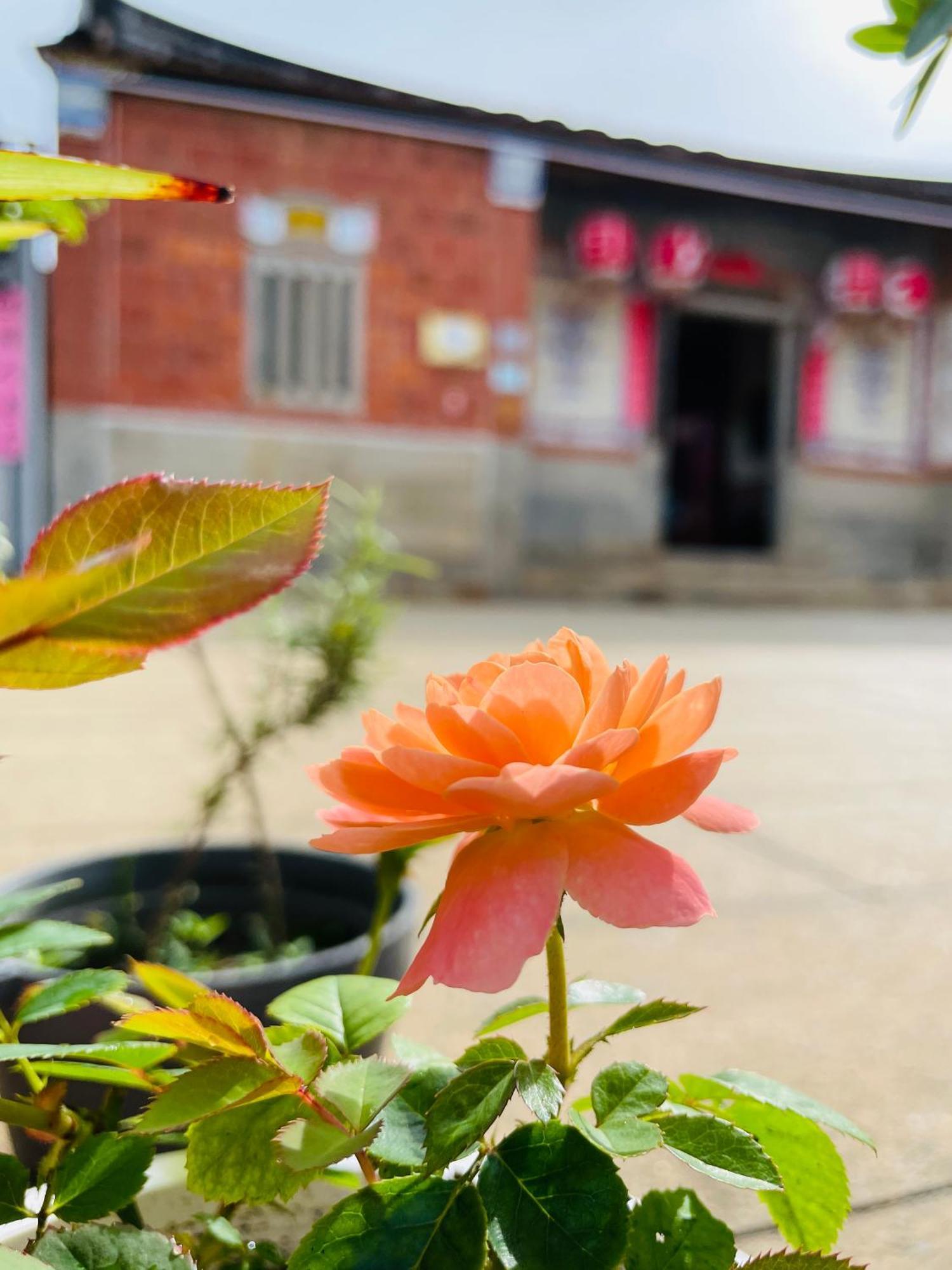 Grace Homestay Jincheng Buitenkant foto