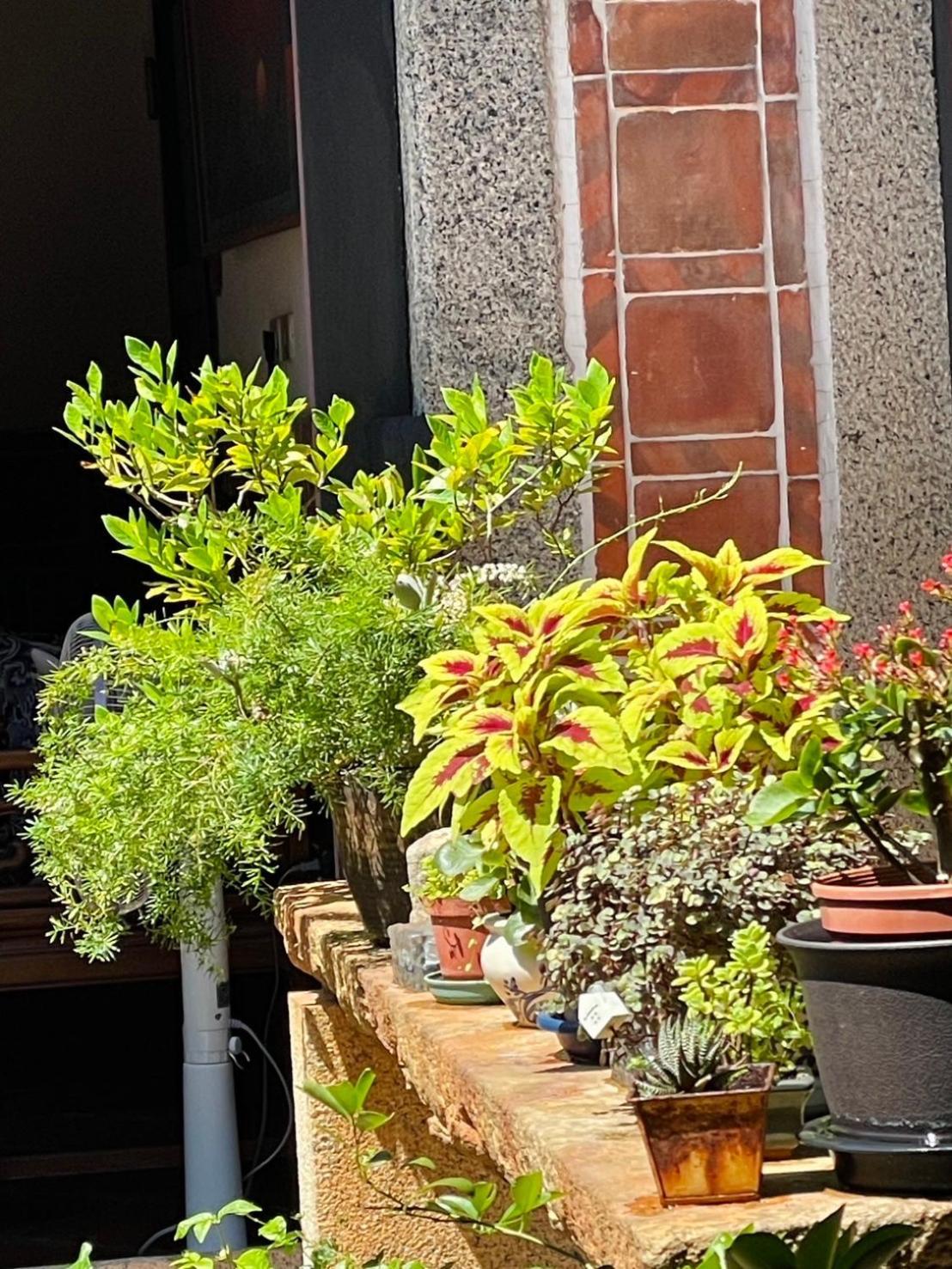 Grace Homestay Jincheng Buitenkant foto